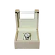 watch box